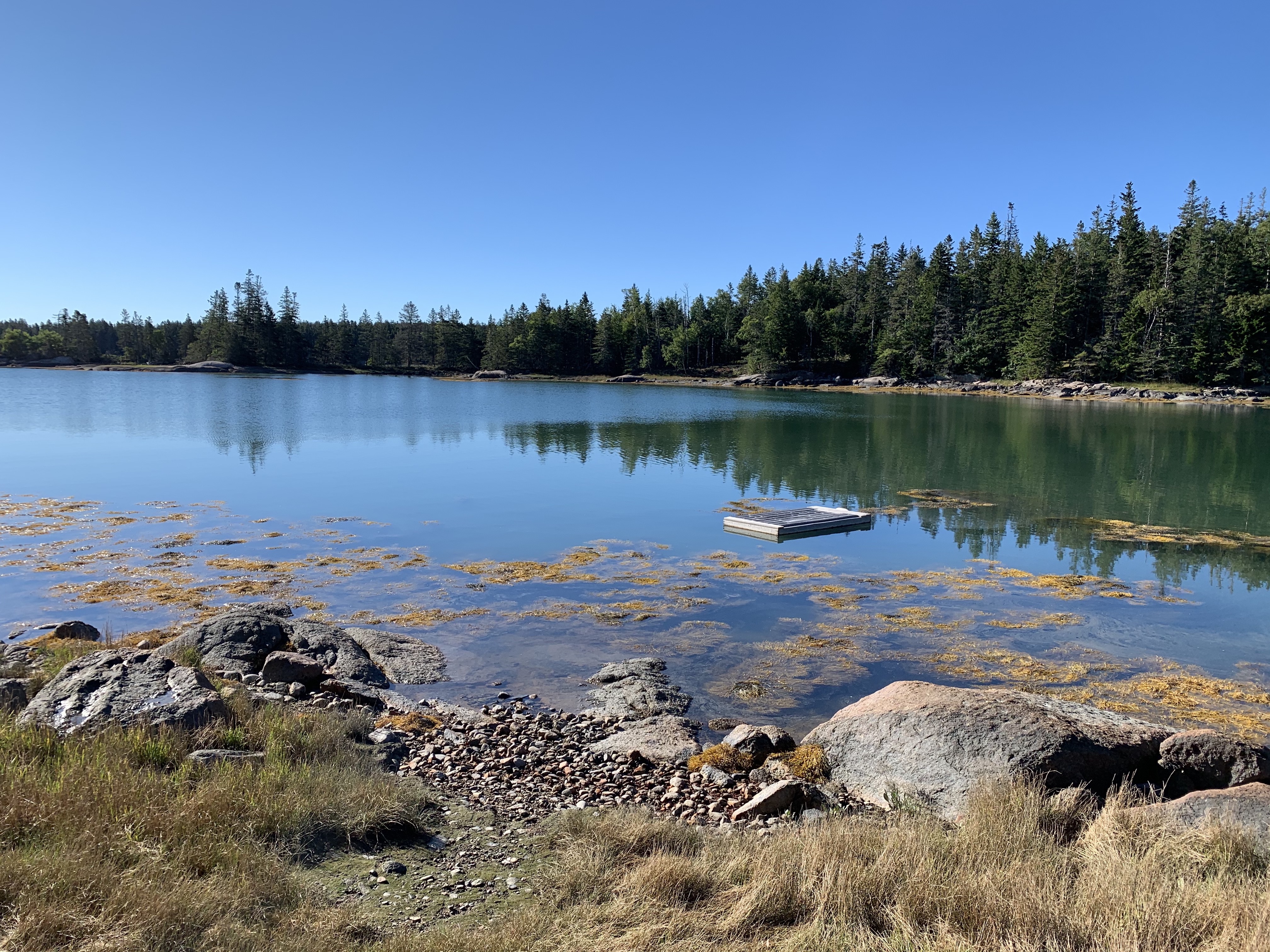 Ocean in Stonington, Maine